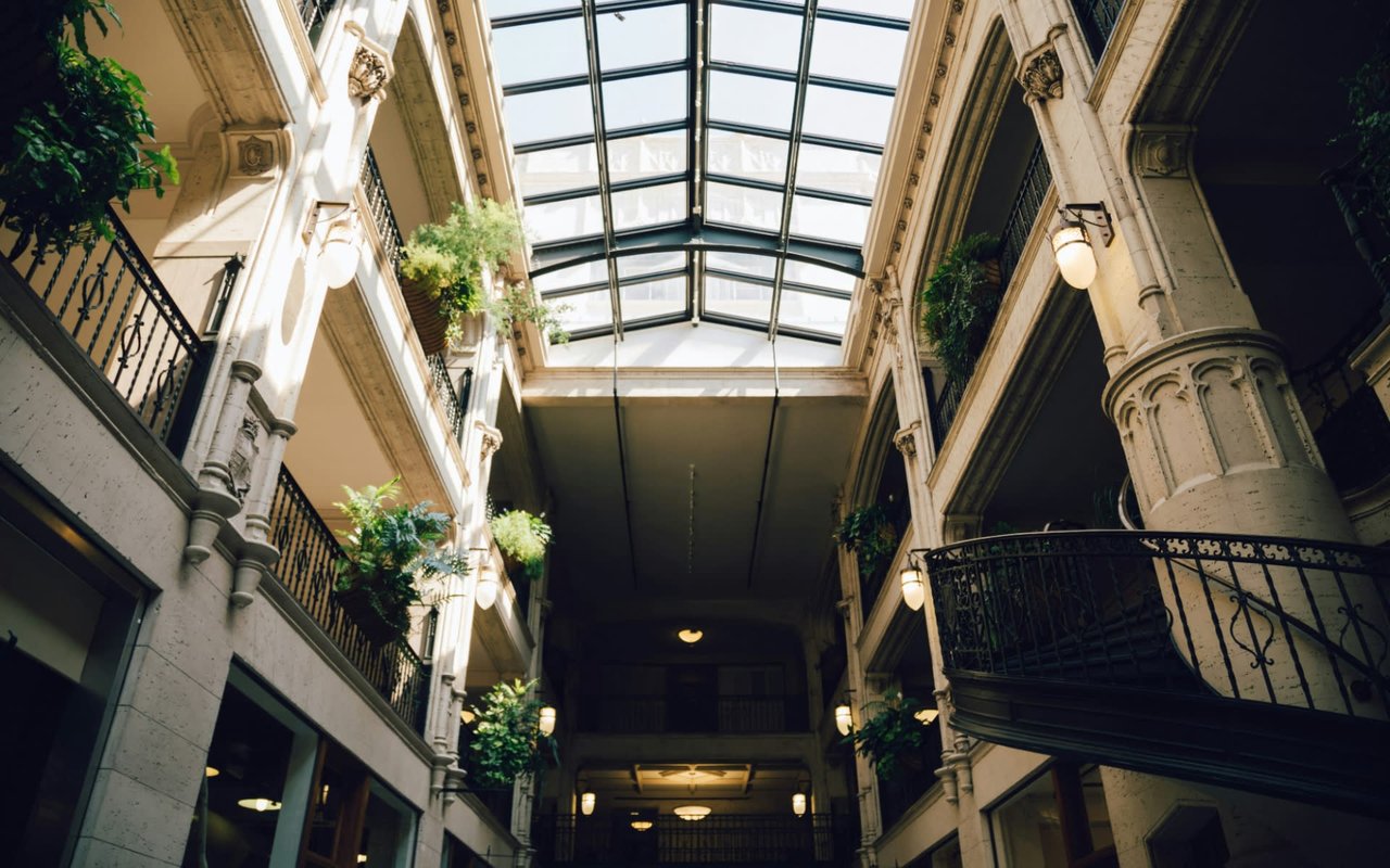 Best Neighborhoods to Live in Asheville