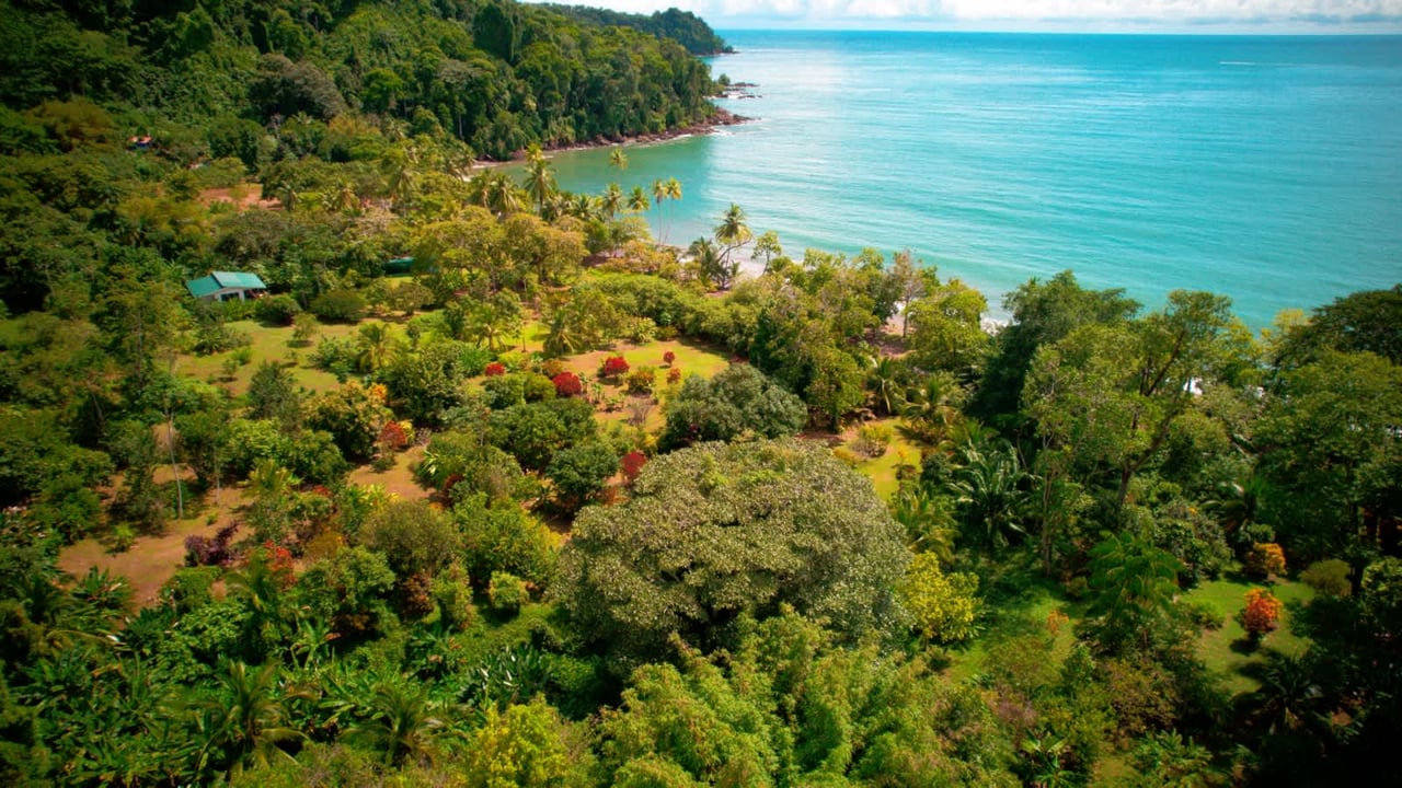  Eden Corcovado, Unique Beachfront from Paradise!