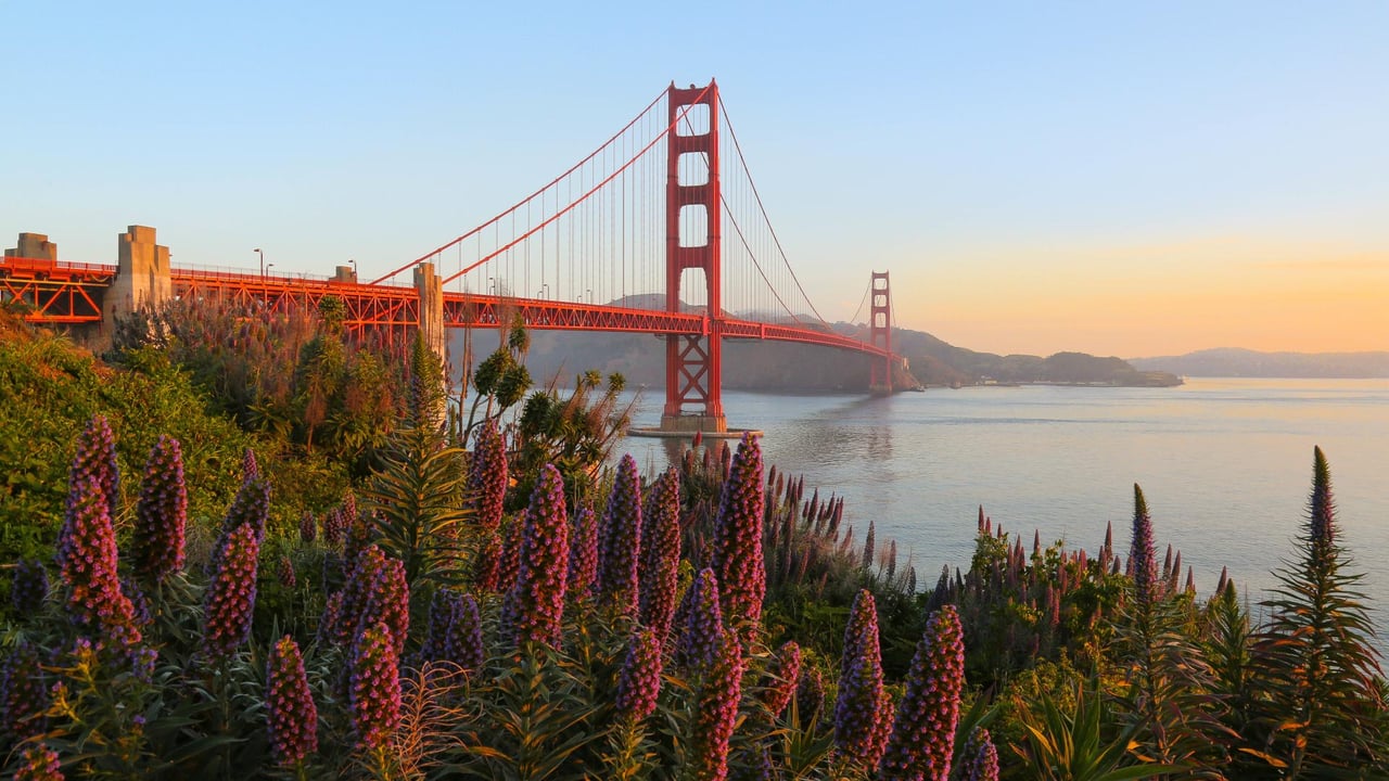 Relocating to the Bay Area? We can help!