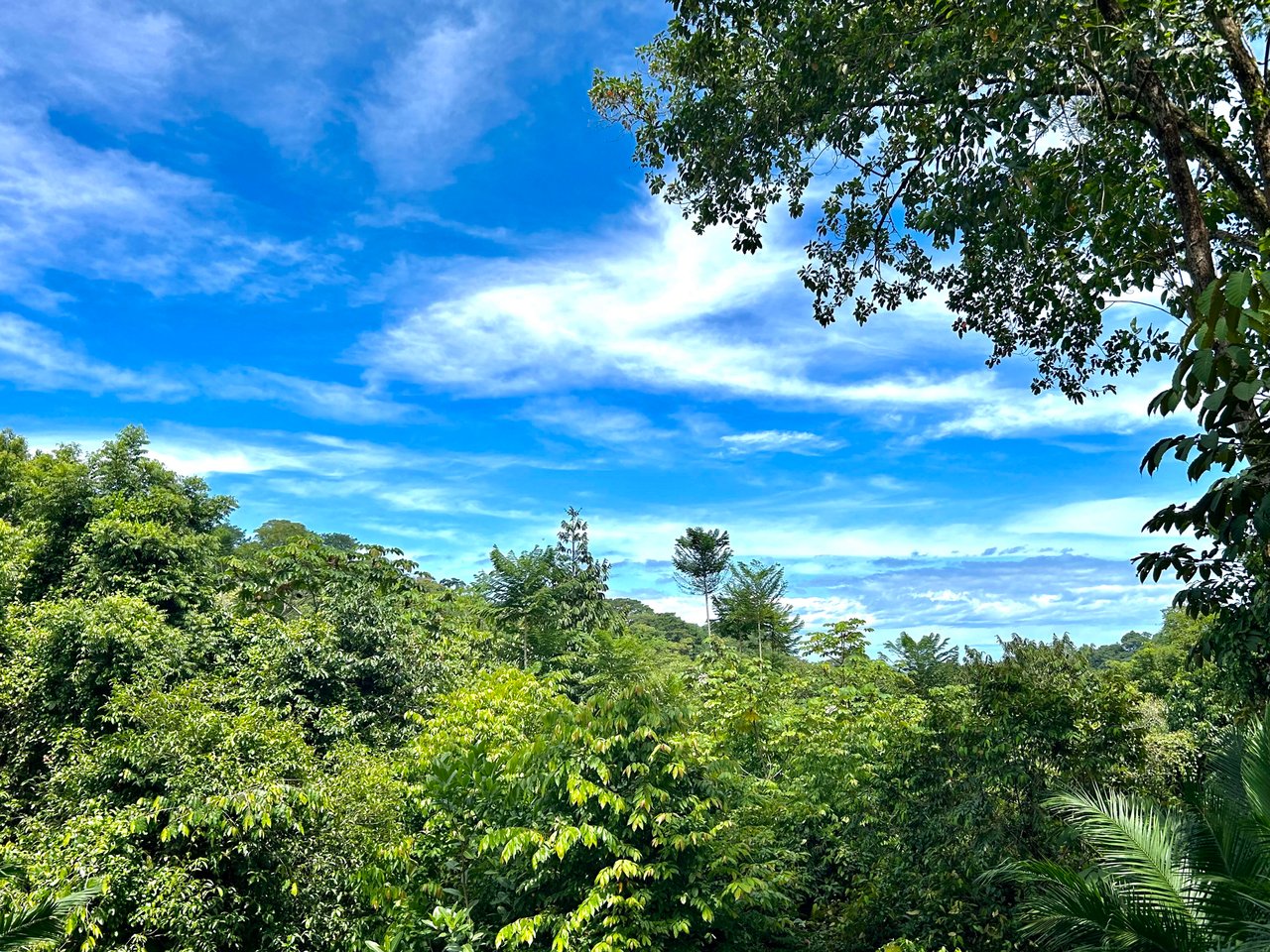 Secret Paradise Property in Altos de la Colonia