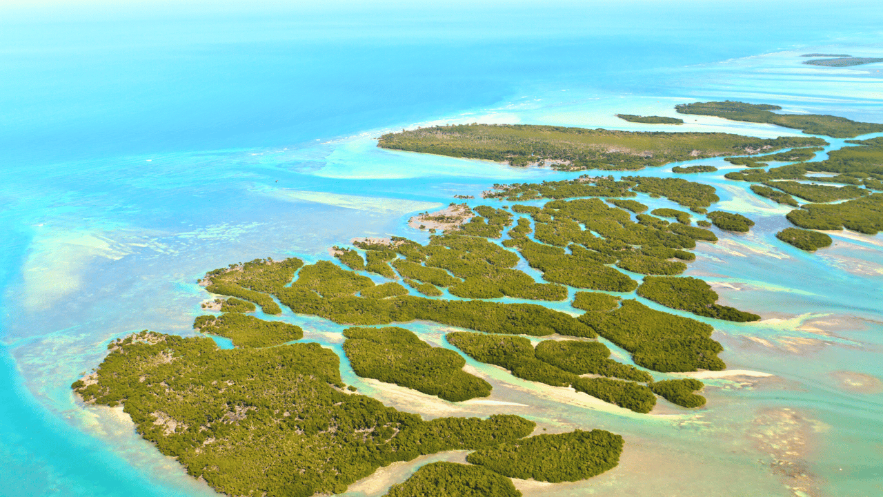 Florida Keys