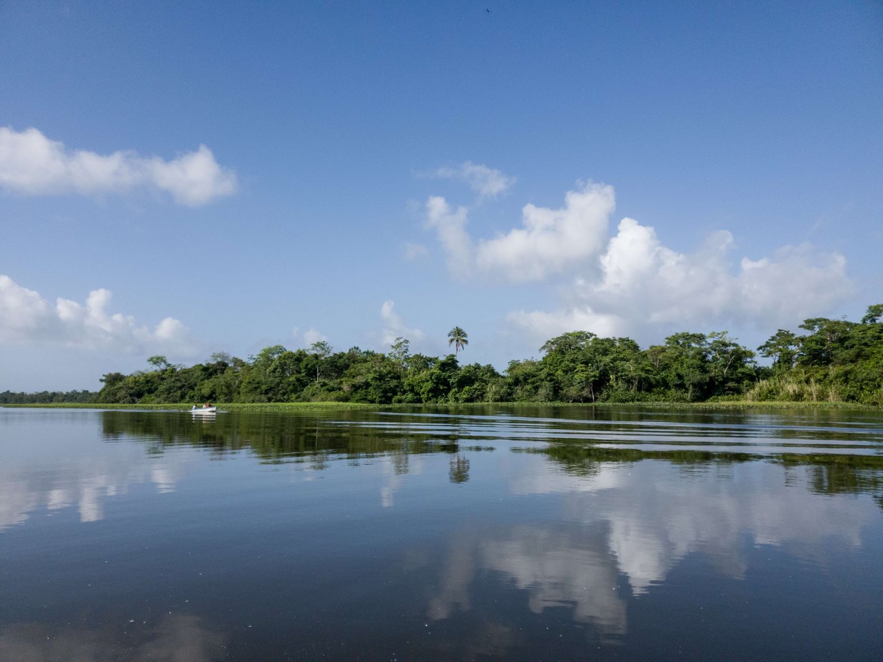 The Everglades Escape: A Journey from Boca Raton into Natural Splendor