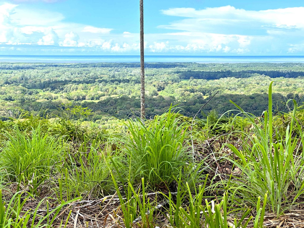 2 Acres Property with 360 Panoramic Views!
