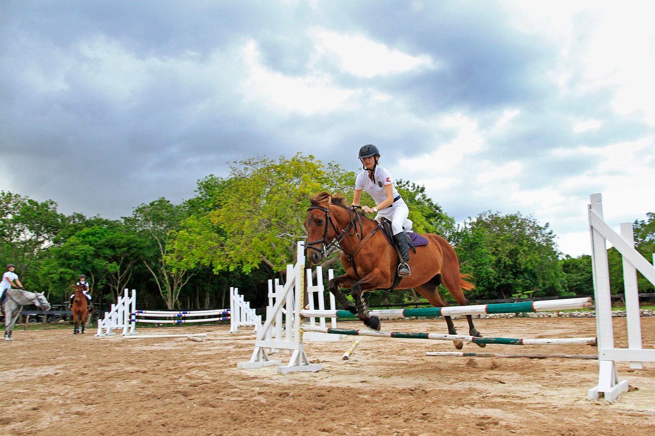 Puntacana Resort & Club