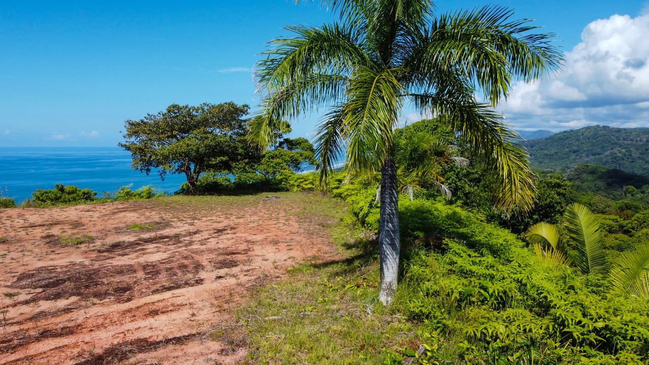 MANGO MANOR RIDGE PREMIER OCEAN VIEW PROPERTY IN DOMINICAL