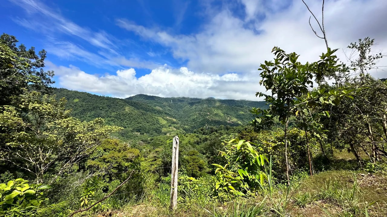 San Josecito Farm Above Uvita, 4 Acres, Creek and Usable Land