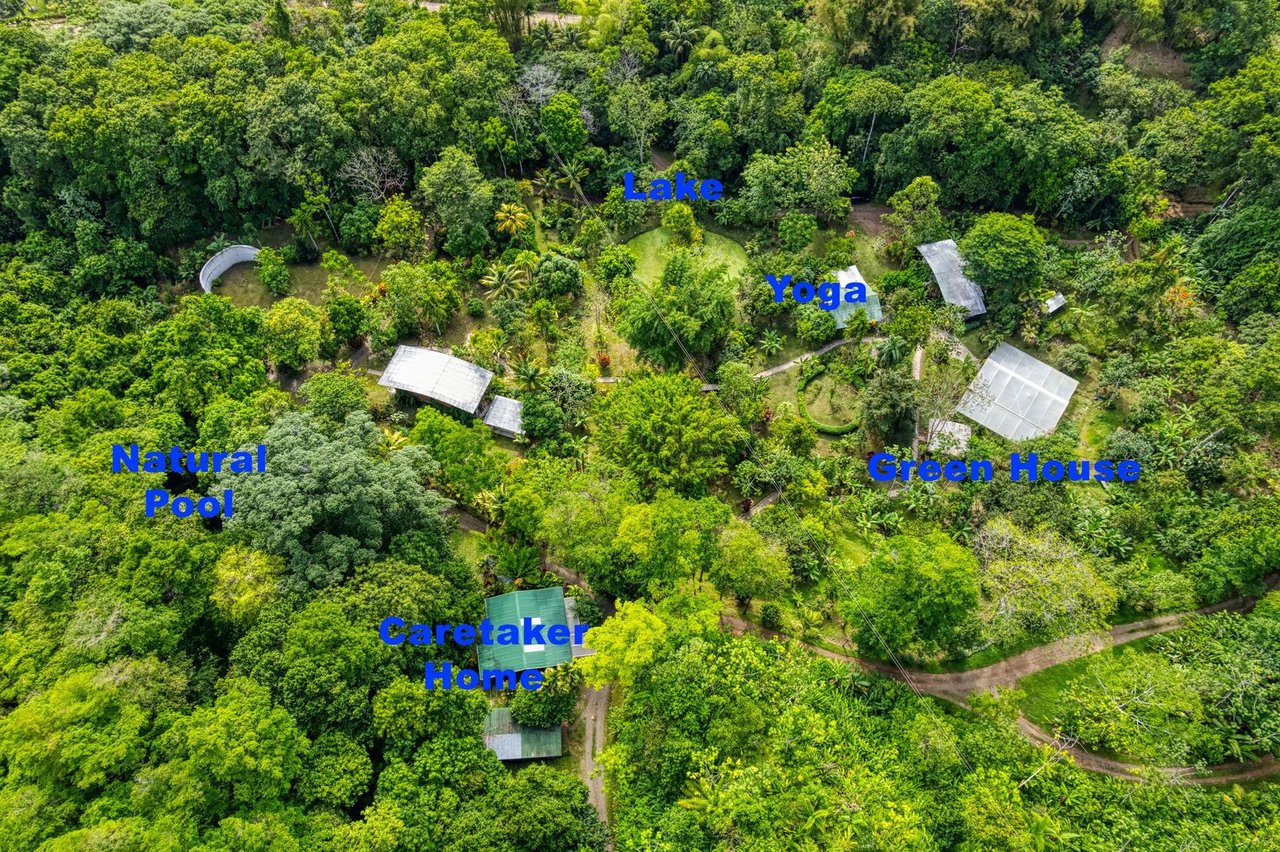 Riverfront Jungle Eco Resort, Perez Zeledon, San Jose