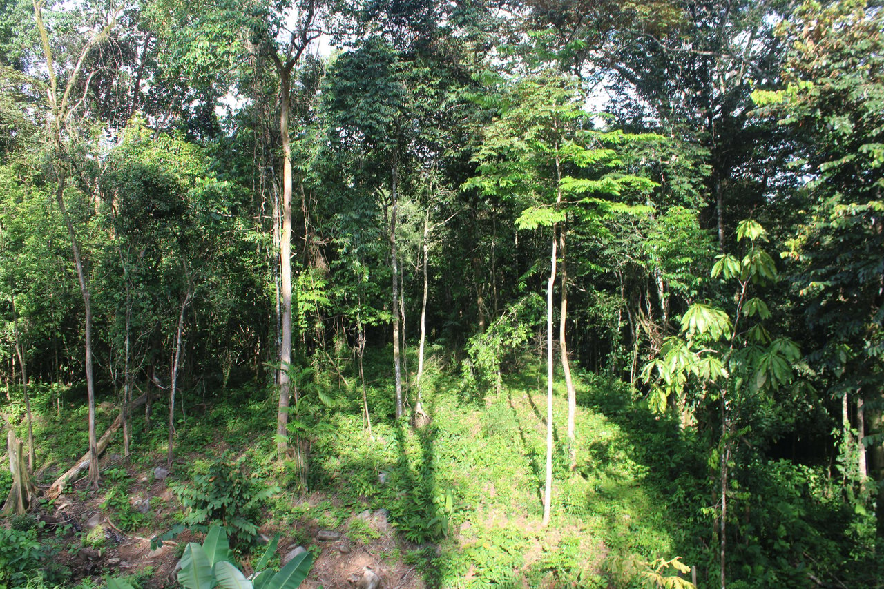 River Frontage Lot close to Uvita