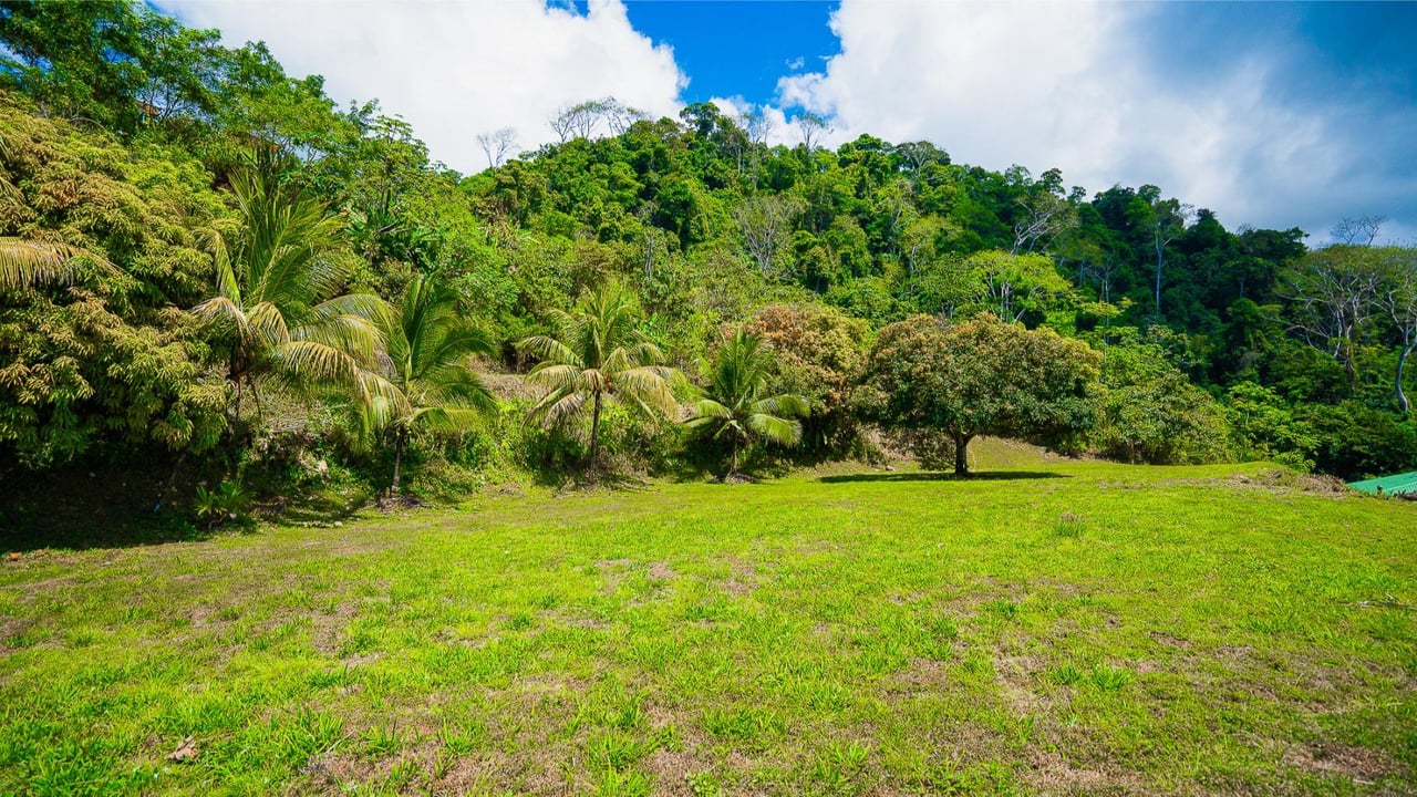 Panoramic Ocean View Homesite, Ojochal, Puntarenas