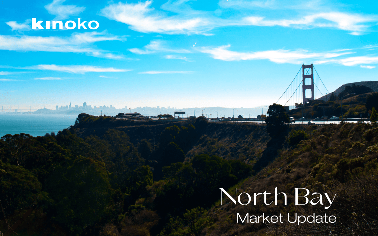 San Francisco Bay Area from the North, past Vista Point