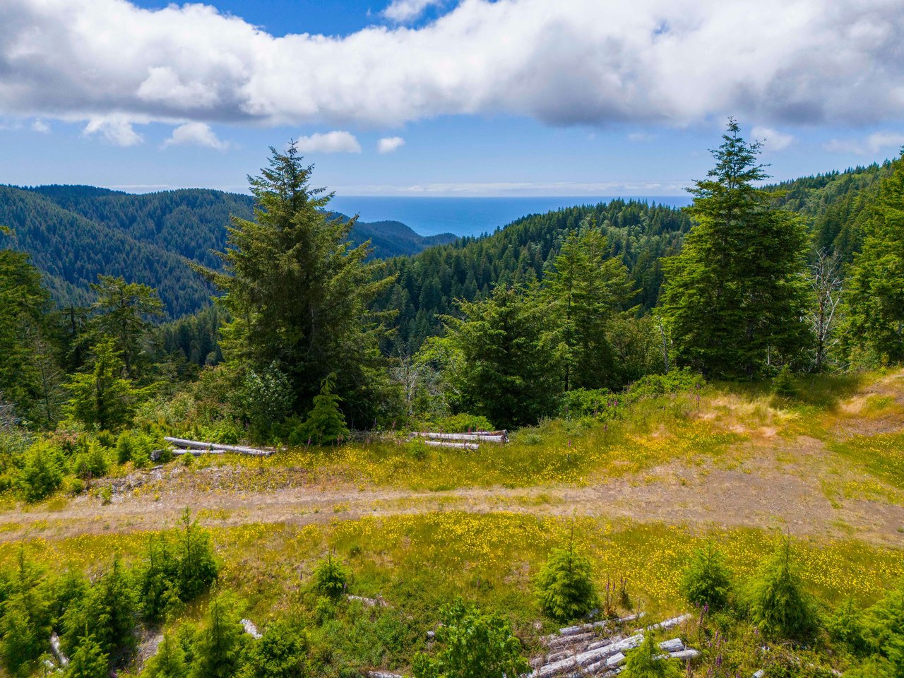 Cummins Creek Wilderness Overlook