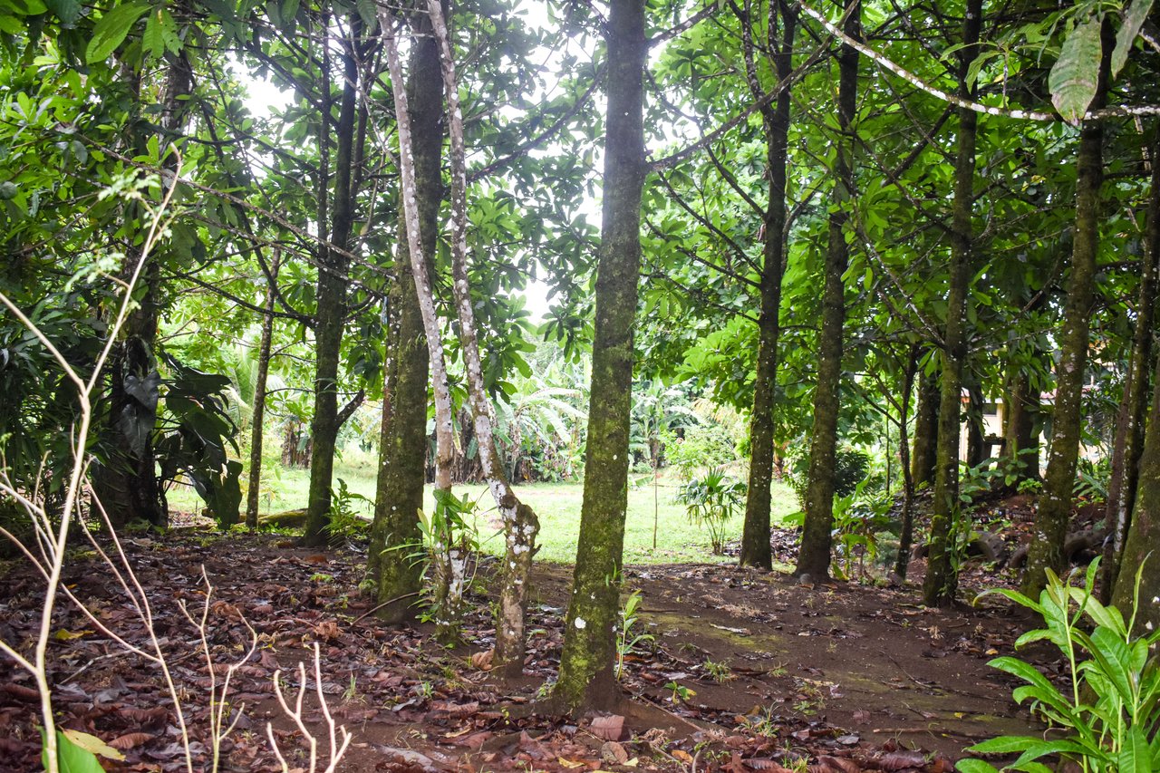 Casa Colibri with two small apartments | Bordered by the Bijagua River and Bijagua Creek.