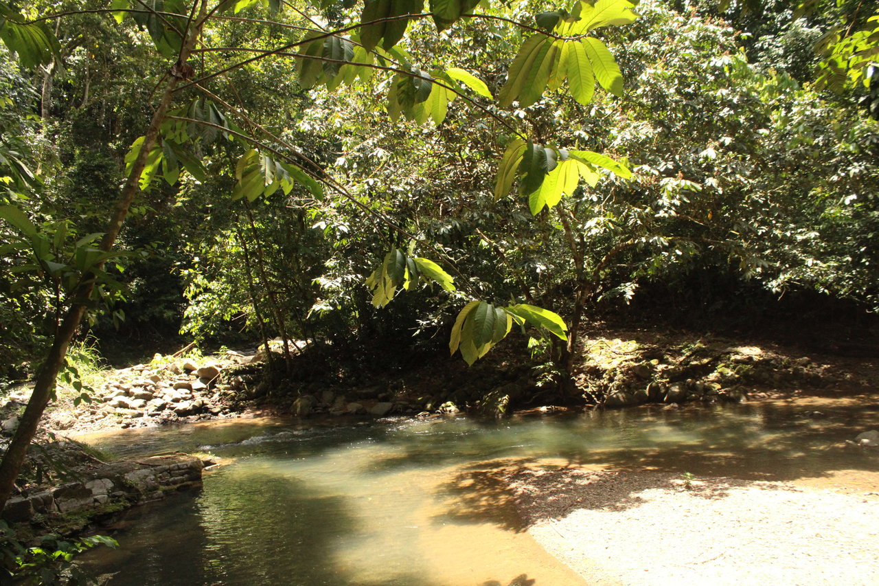 Wildlife Reserve Farm close to Ojochal