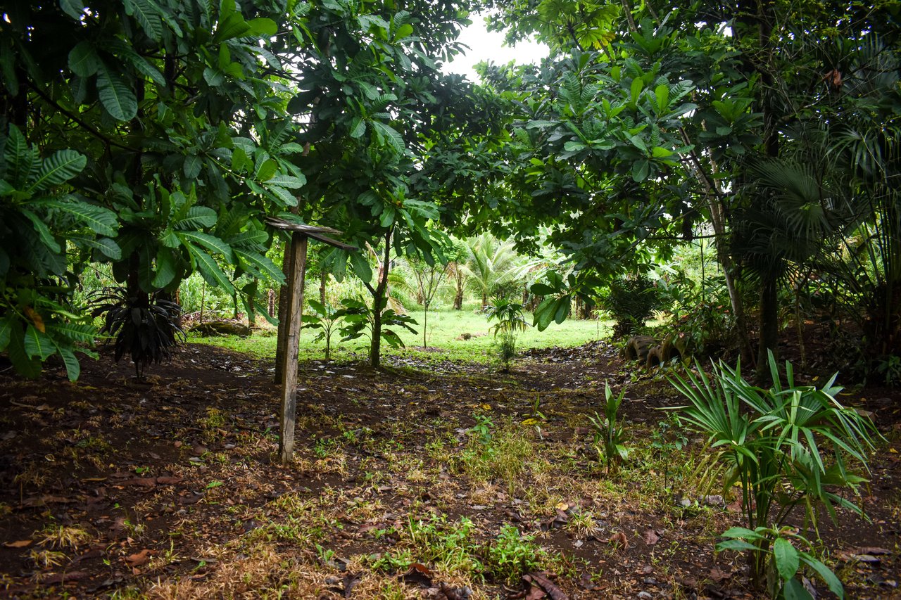 Casa Colibri with two small apartments | Bordered by the Bijagua River and Bijagua Creek.