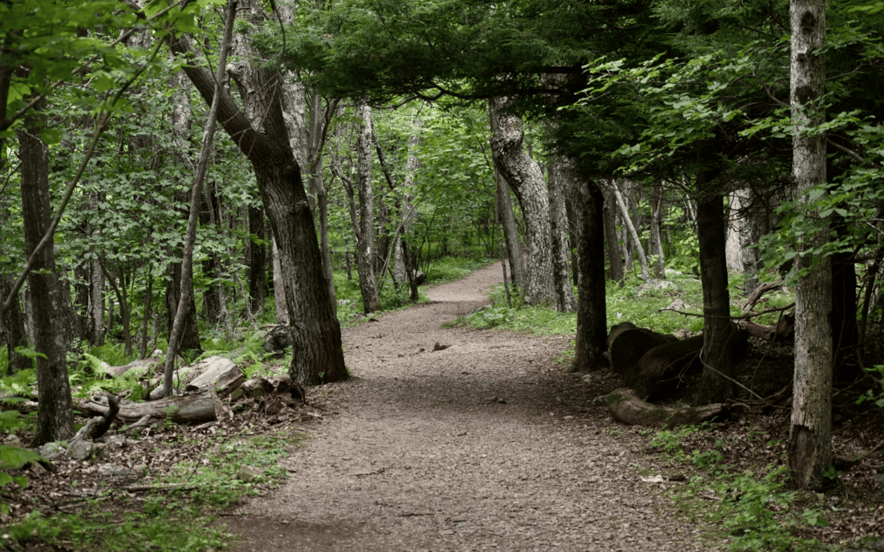 Outdoor Adventure Awaits: Exploring the Enchanting Parks and Trails of Fuquay Varina NC