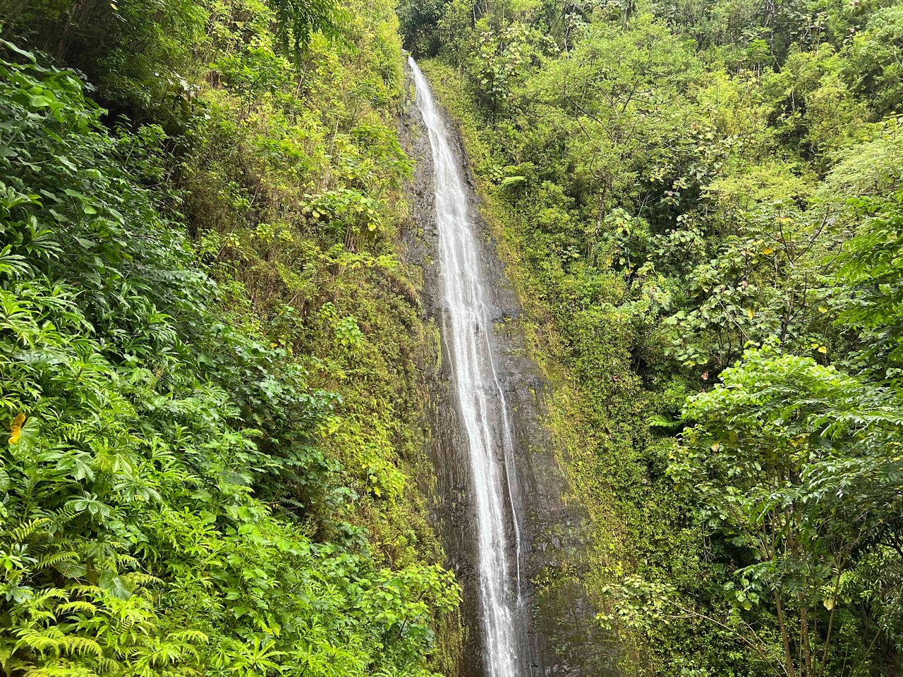 Manoa