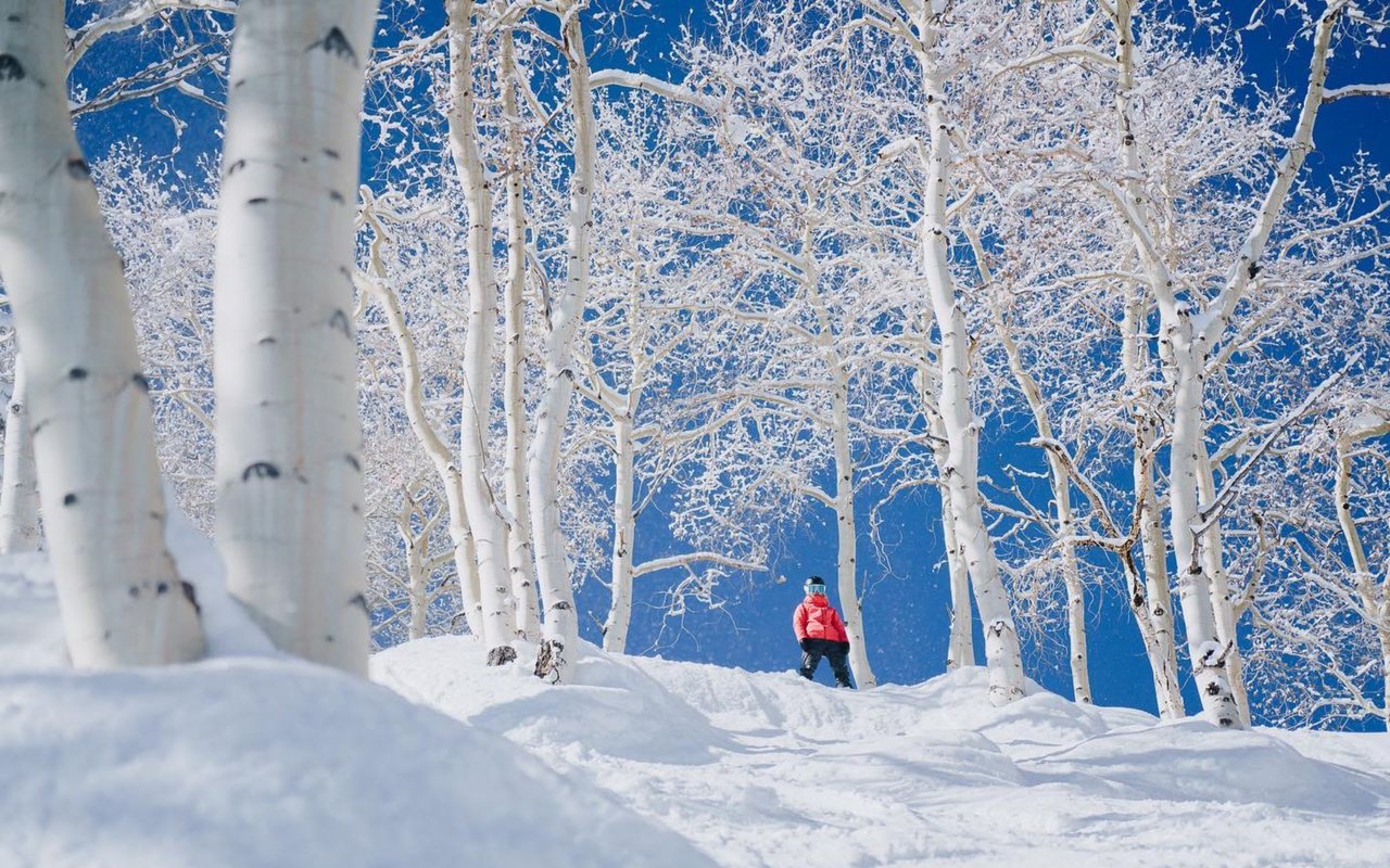 Aspen