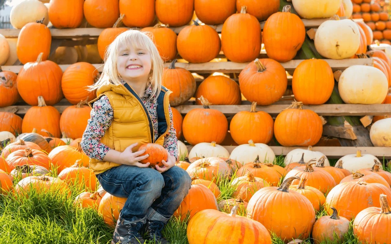 Indiana’s Pumpkin Patches: The Best Places to Go in 2020