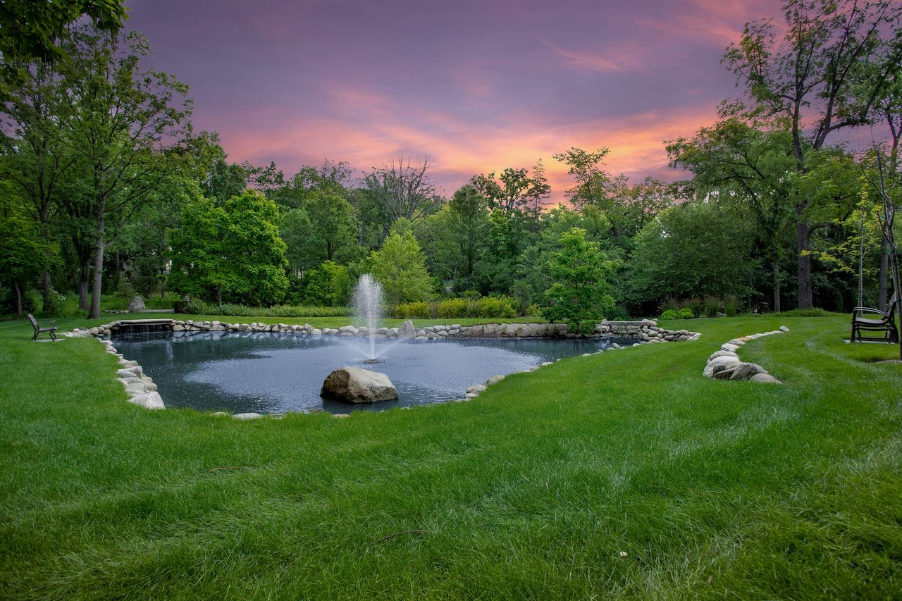 Pond Renovation