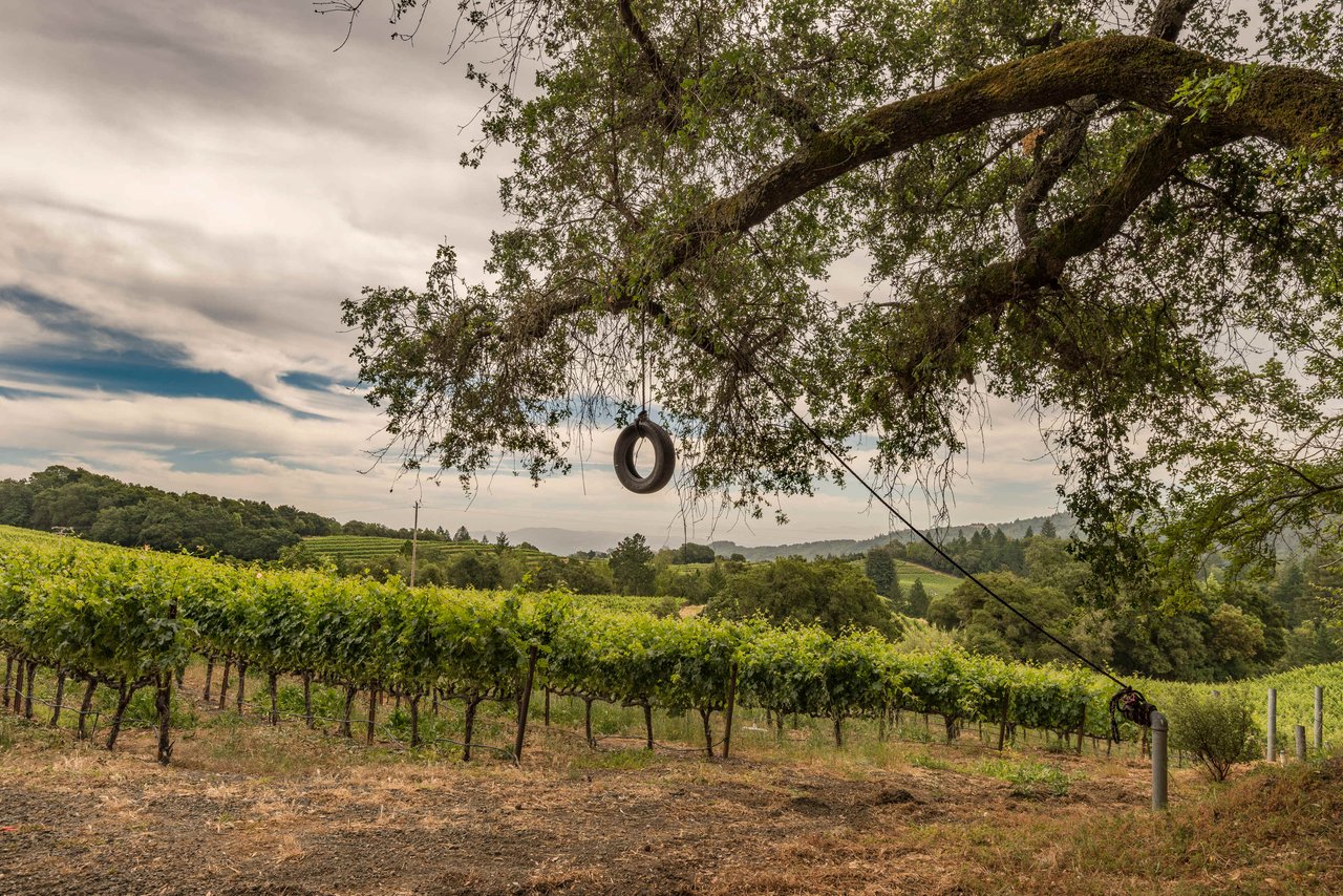 Mount Veeder Road, Napa