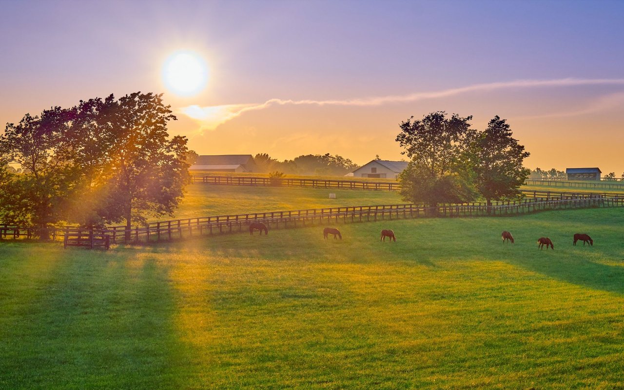 Essential Considerations for Buying Land in Texas