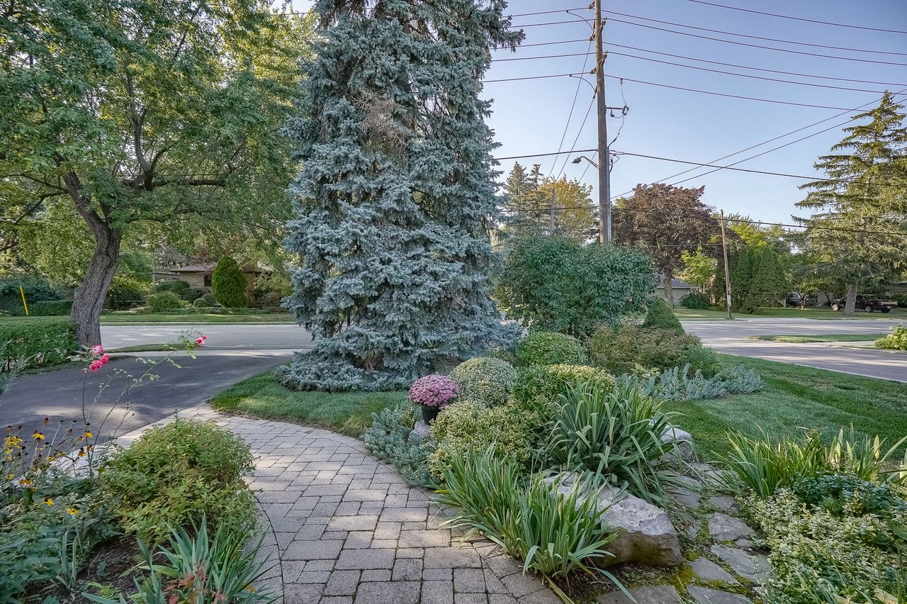 268 Mineola Rd E