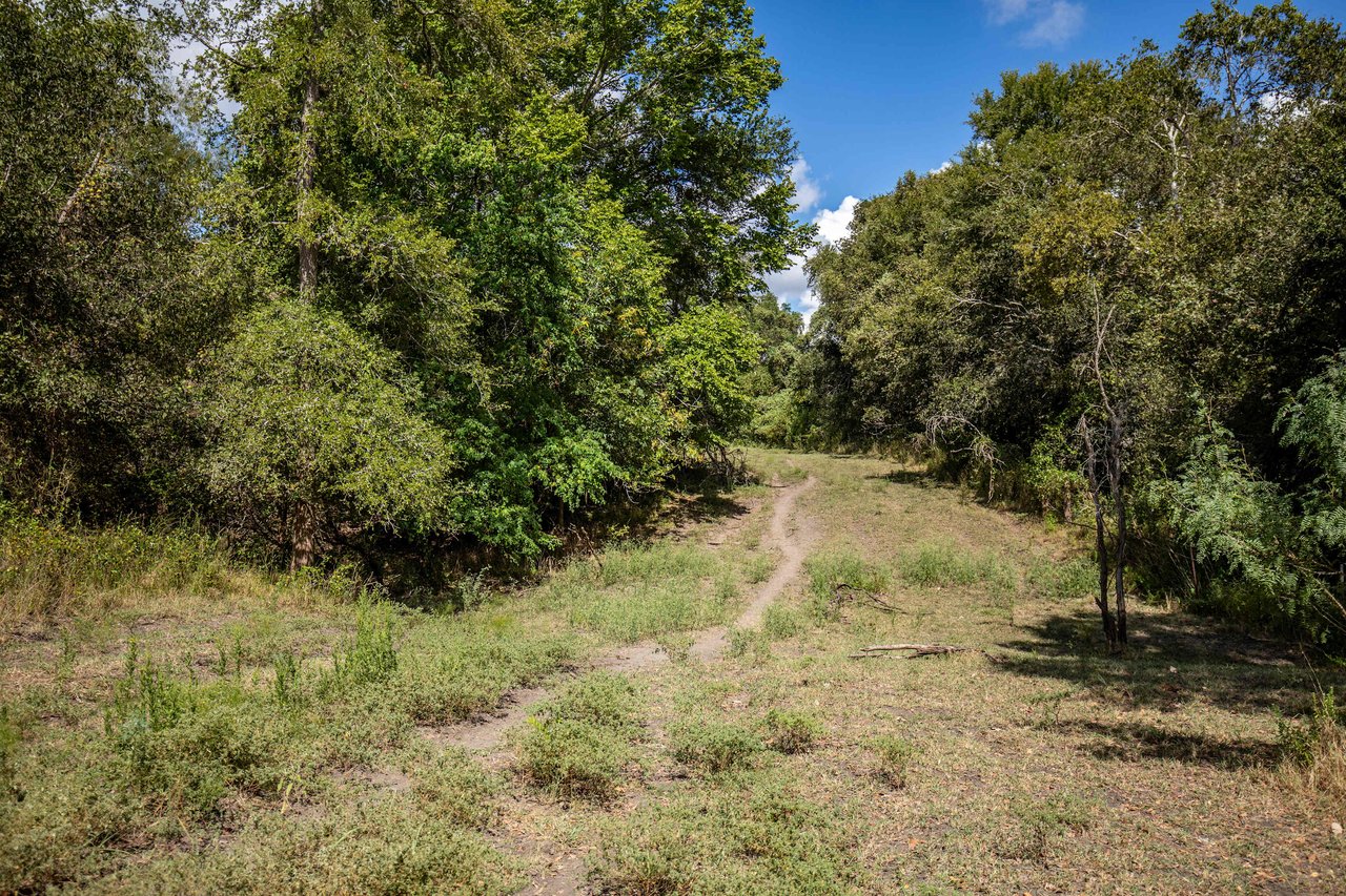 Lovers Lane River Ranch | 140± Acres | DeWitt County