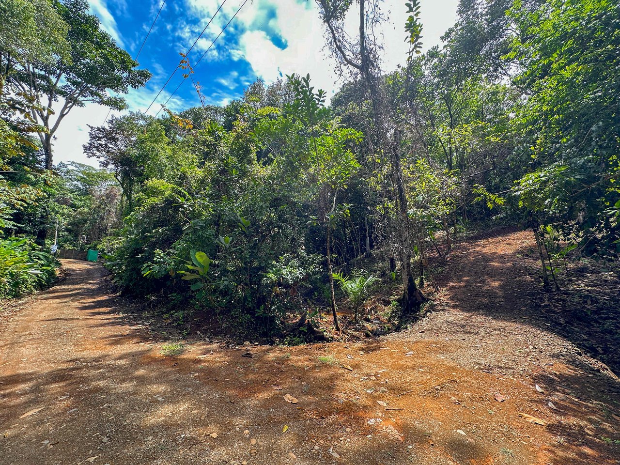 A jungle – and – creek border 1. 6 acre lot in a secure gated community, prepared and ready for your dream home!. 