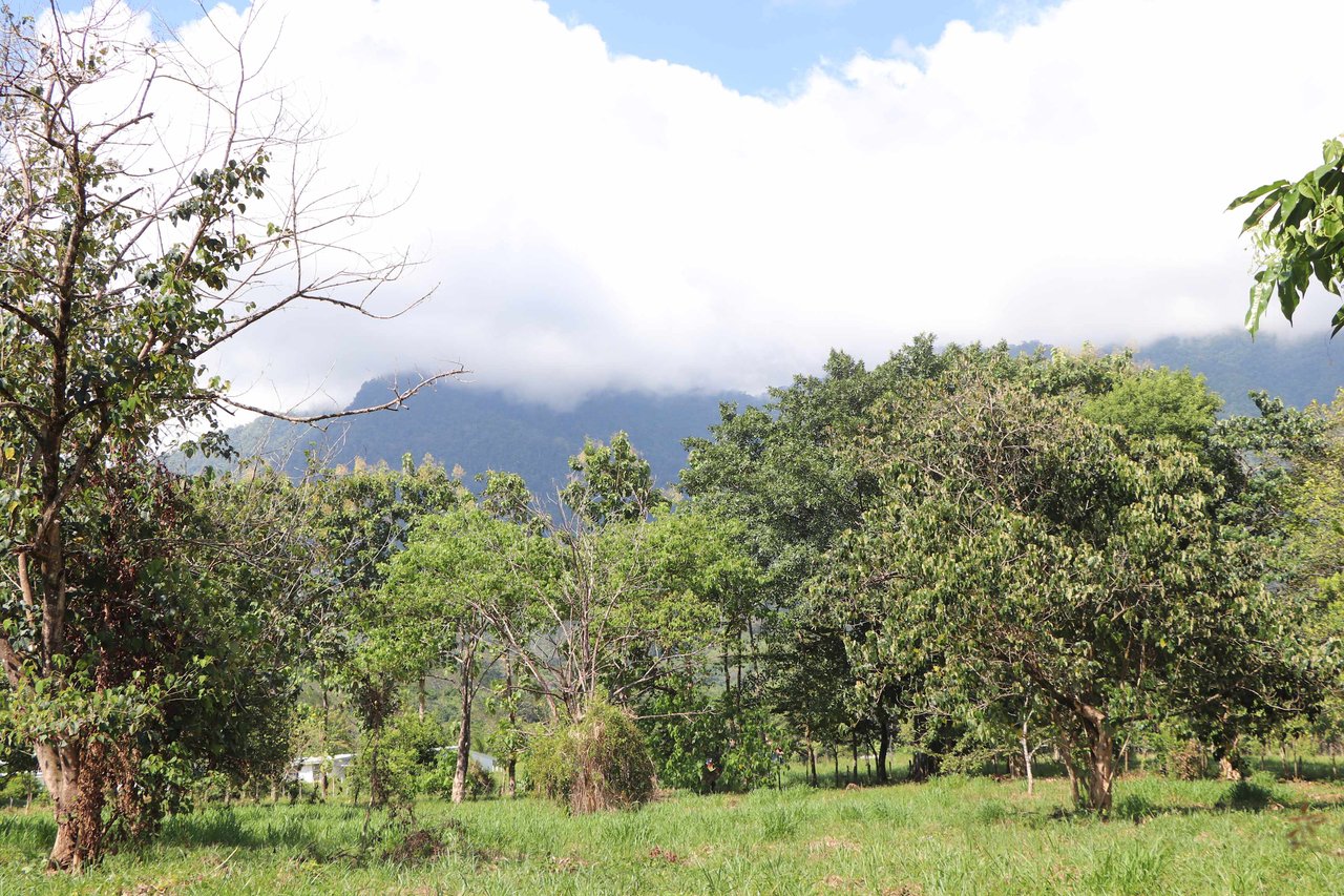 Over 3 Acres, Mountain View Lot in the Heart of Ojochal, Ready for Development!.
