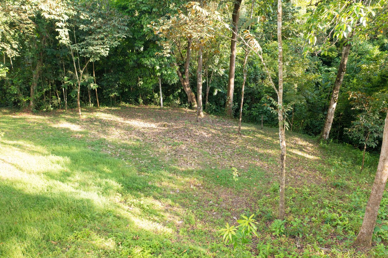  Affordable & Charming 1 bedroom Villa with Pool in gated community, immersed in the rainforest close to Quepos  