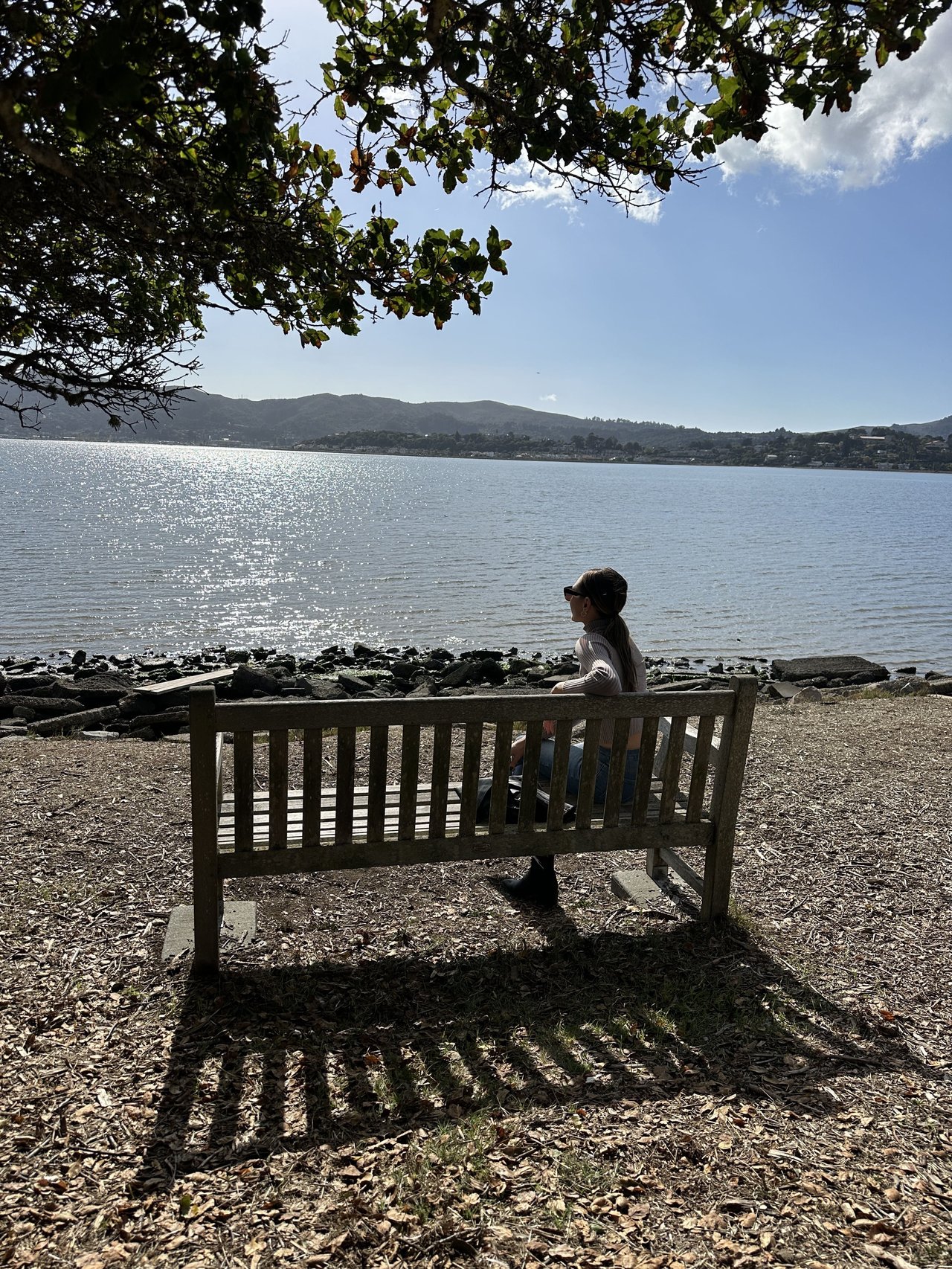 Blackies Pasture: Marin County's Scenic Trail with a View