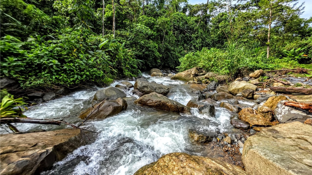 Rainforest Waterfall Acreage Estate, Dominical, Puntarenas
