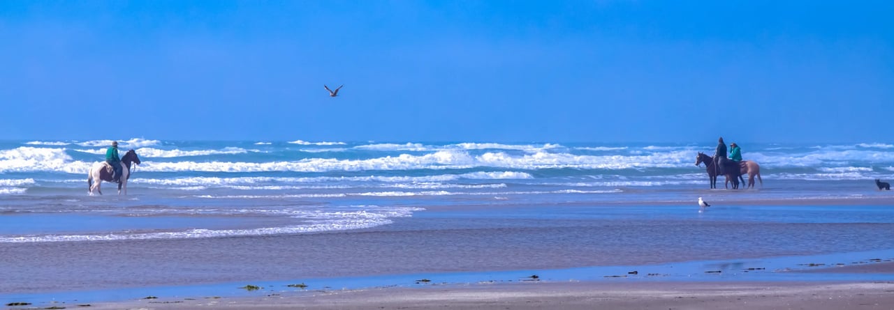 Horse back riding on the beach of Cape Meares Oregon