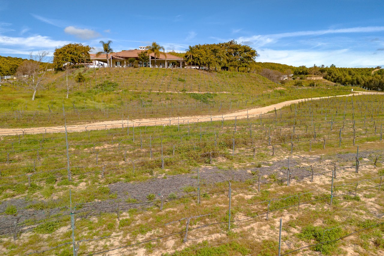 Class IV Winery 