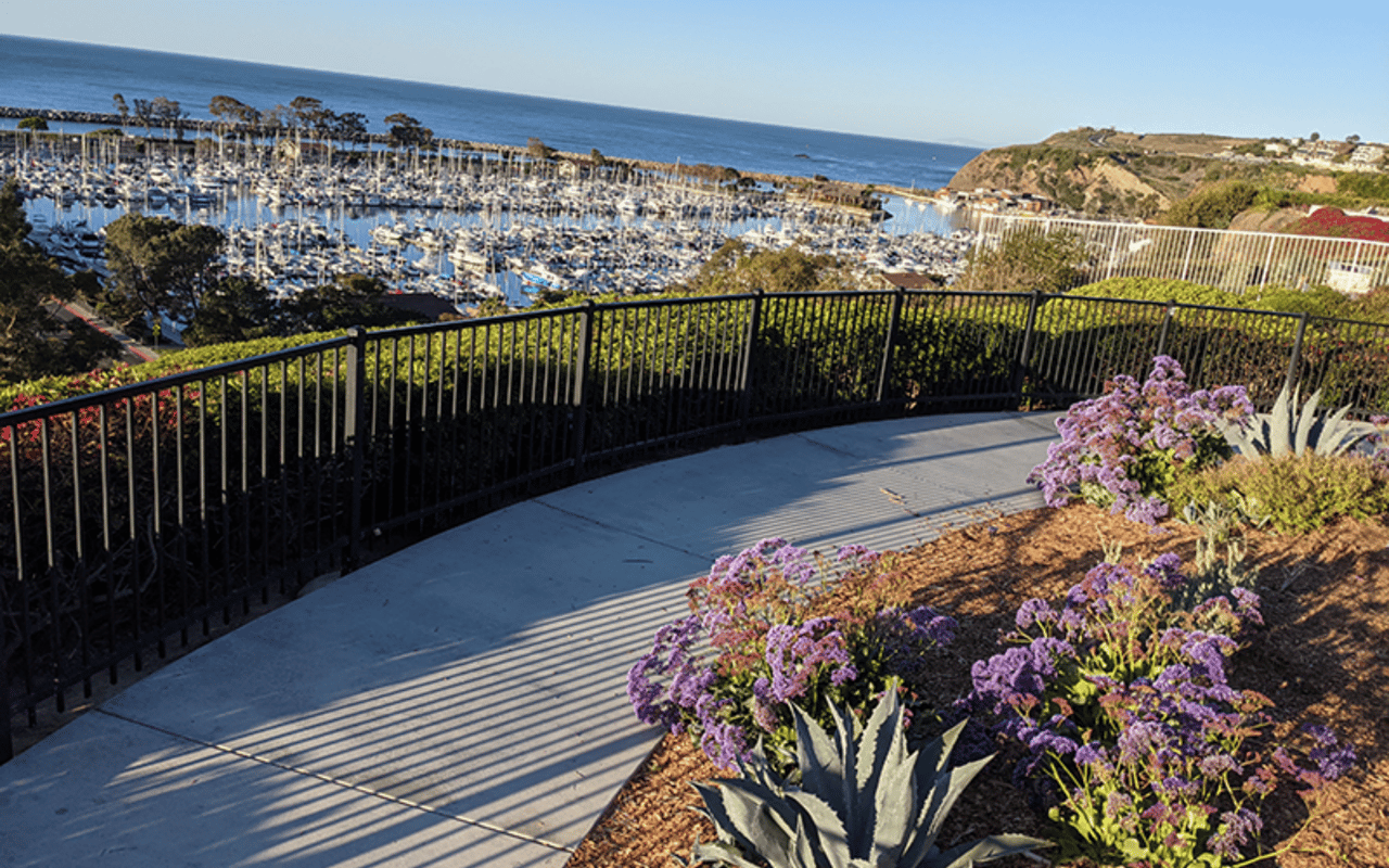 Best Neighborhoods to Live in Dana Point