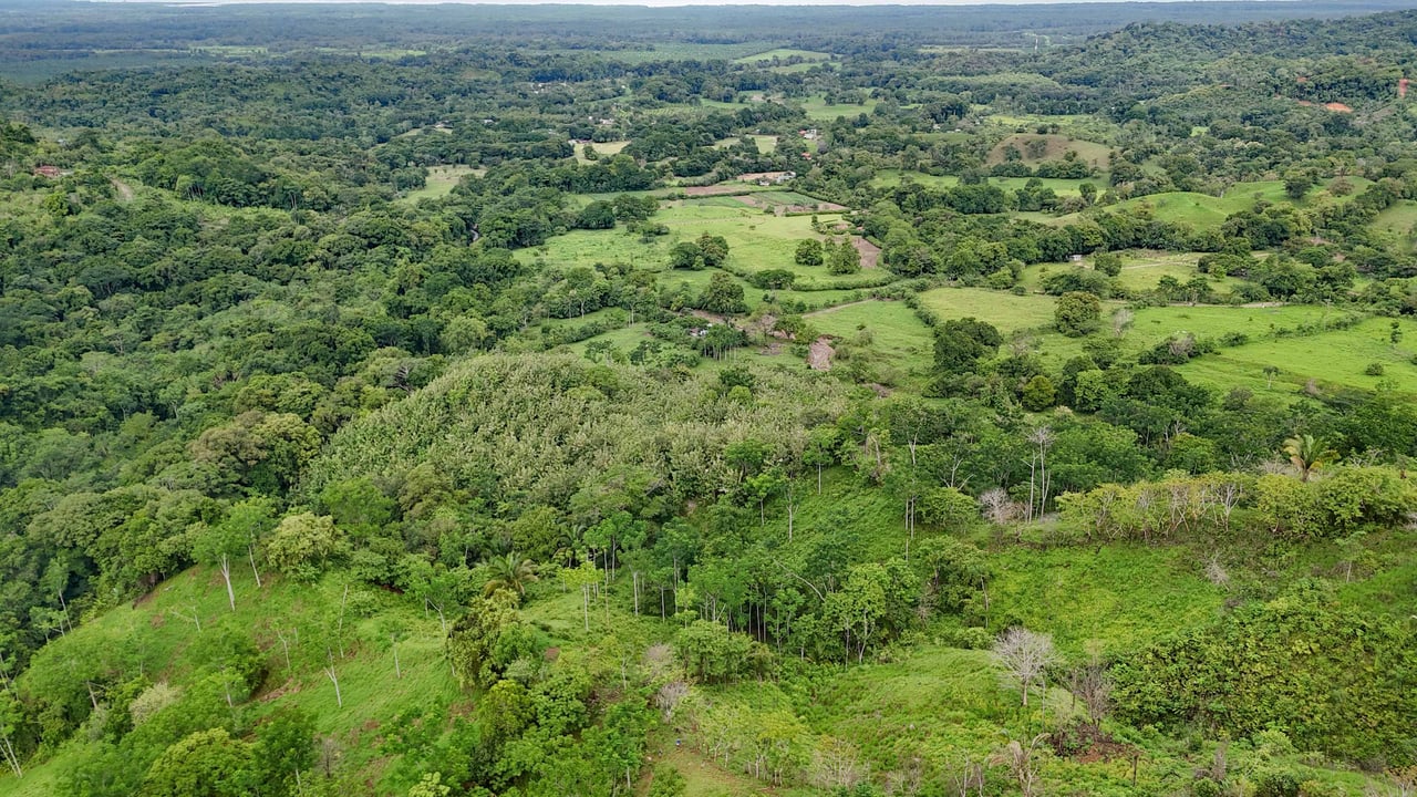 177 acre Ocean view property with multiple plantels, unspoiled mountain, jungle, river and waterfall areas