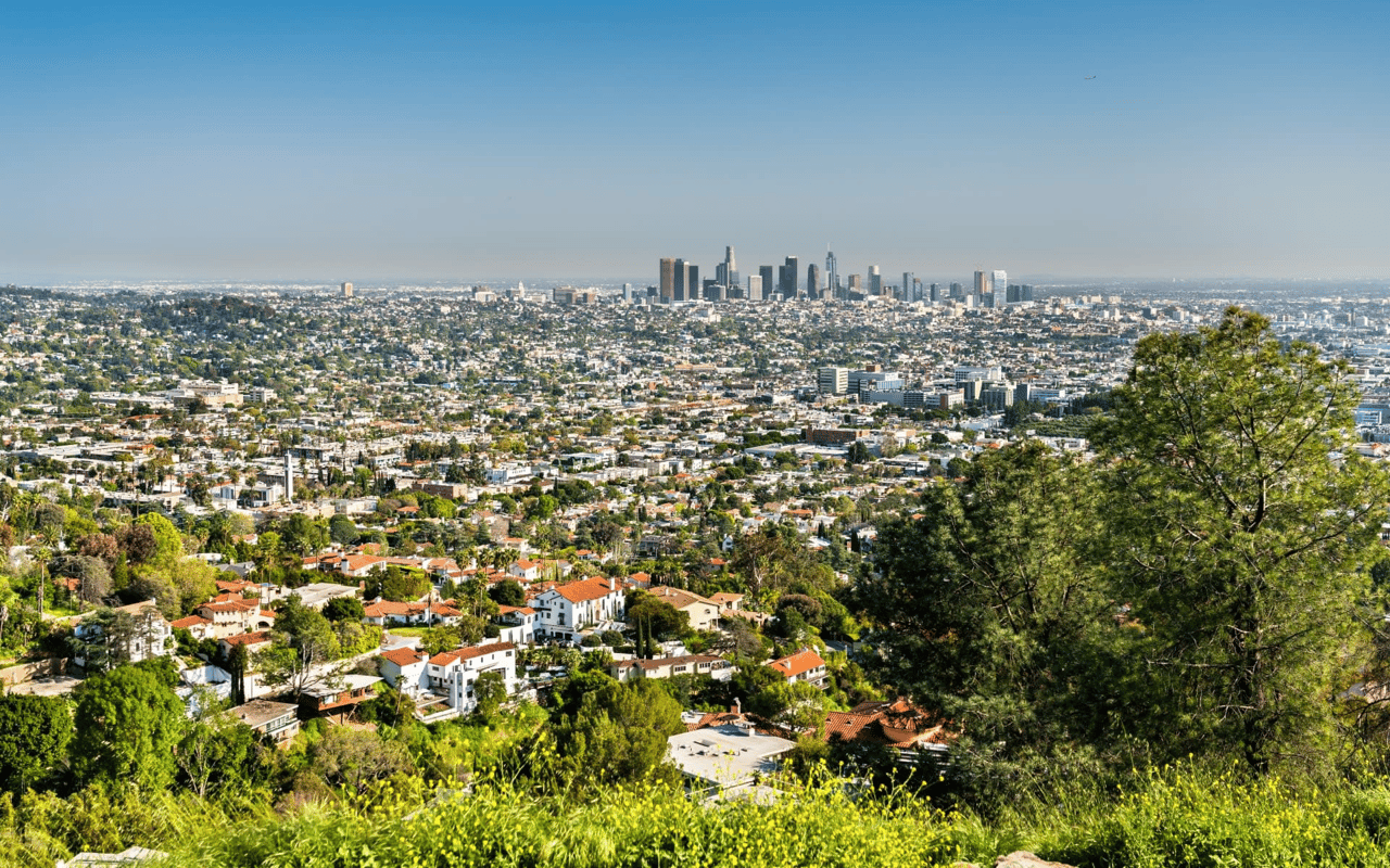Hollywood Hills