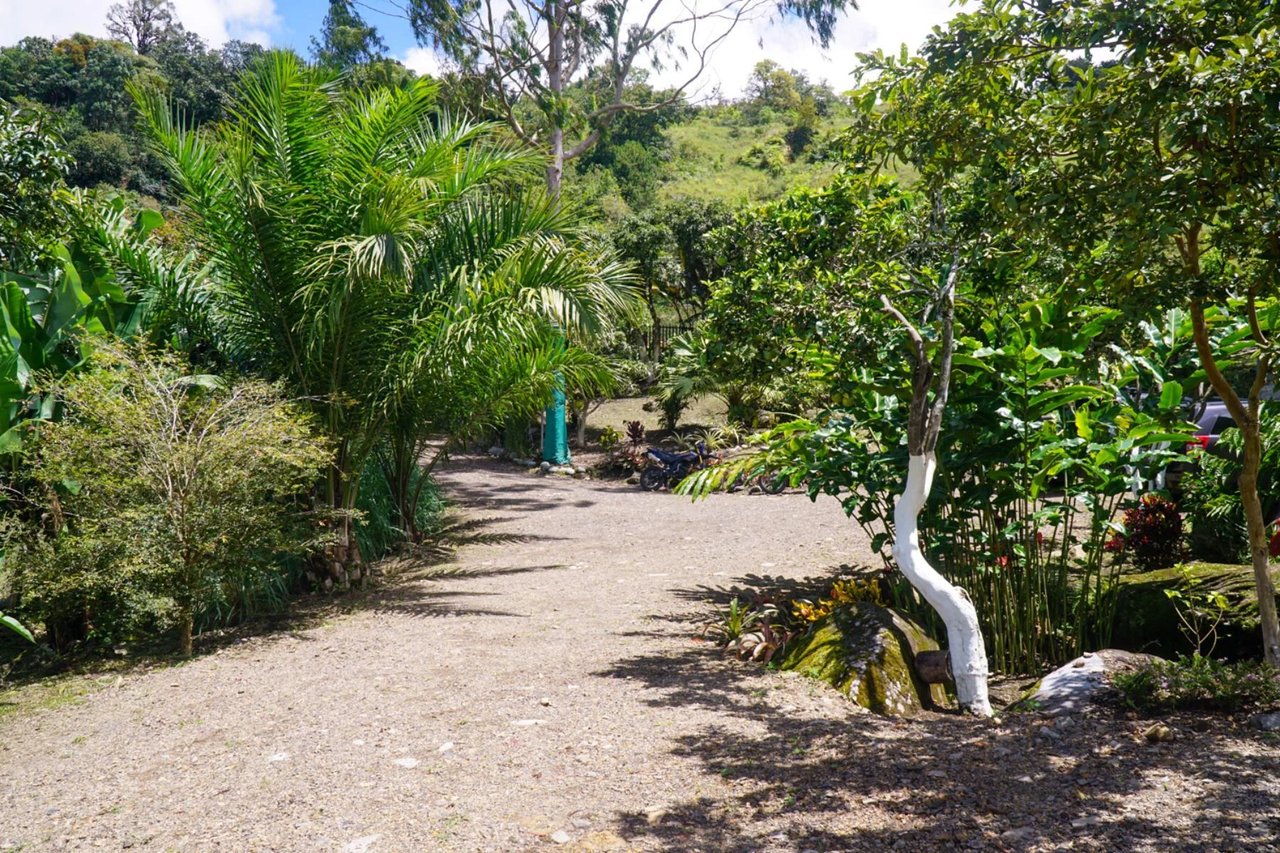 Riverfront Multi Family Compound, Perez Zeledon, San Jose