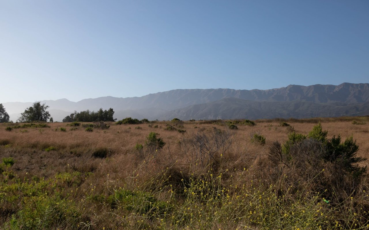 Carpinteria