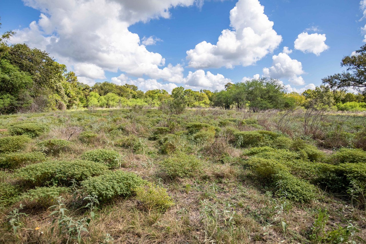 Lovers Lane River Ranch | 140± Acres | DeWitt County