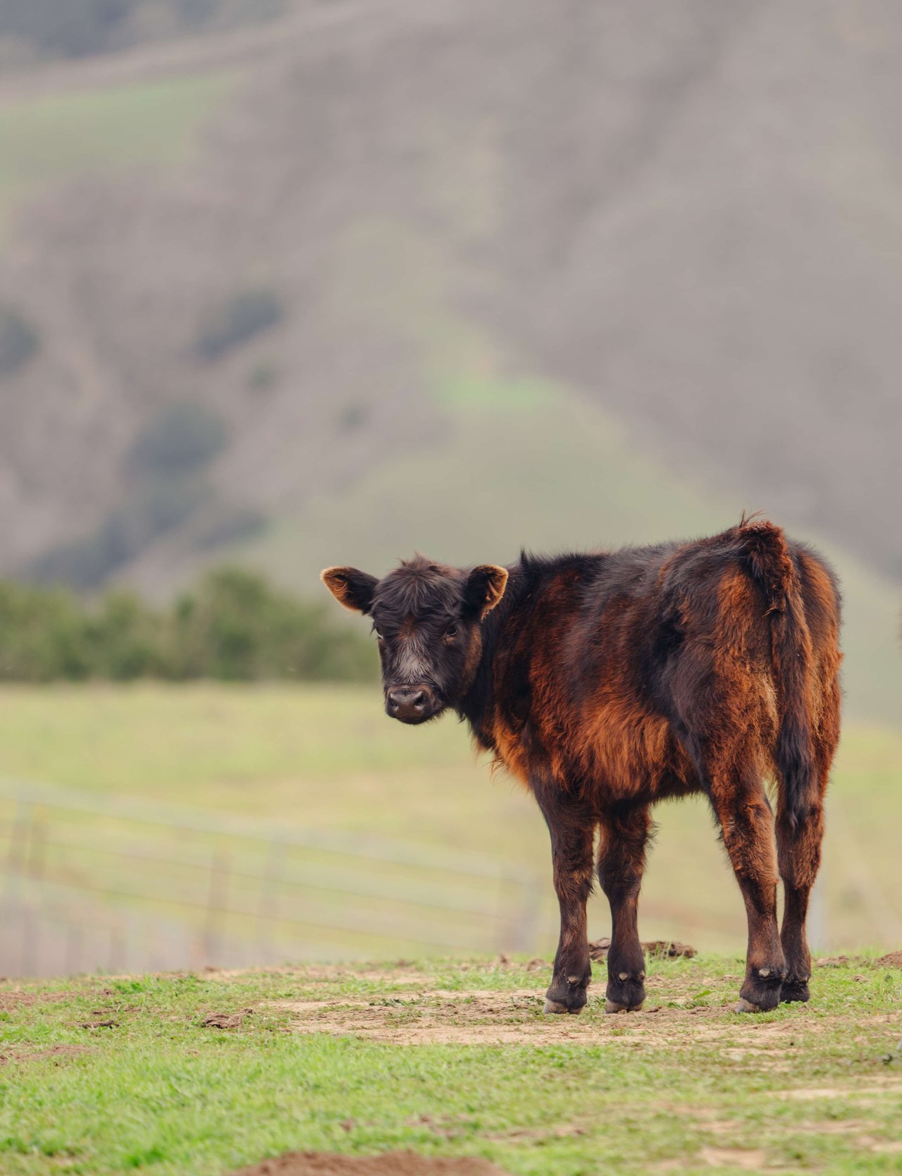 La Hoya Creek Ranch