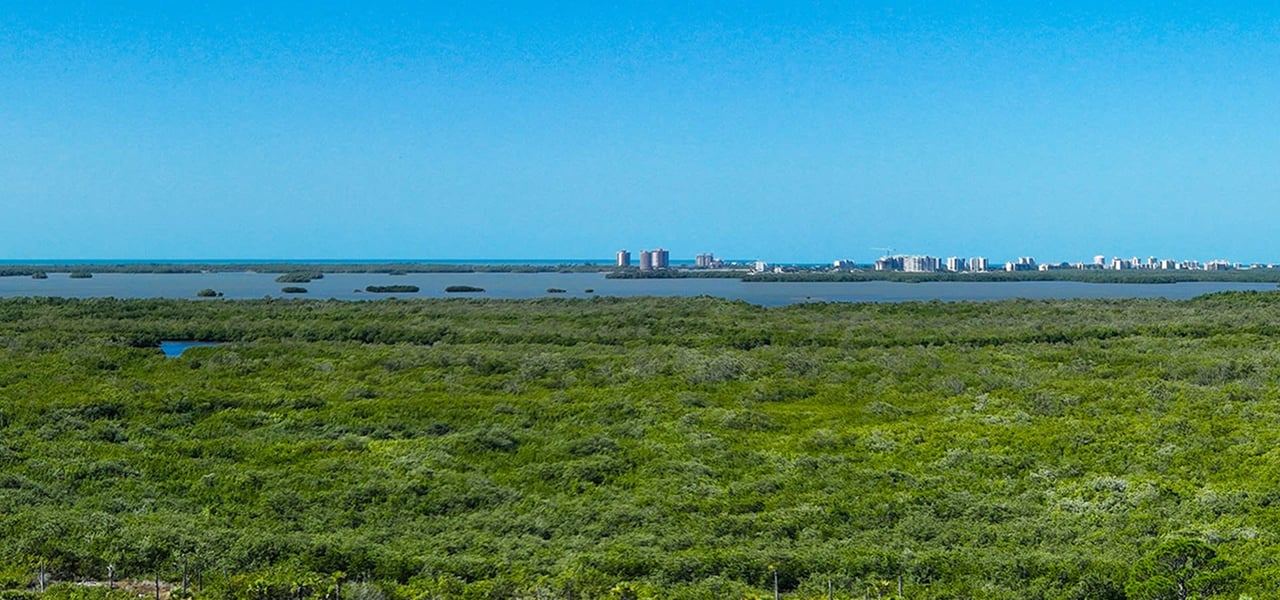 The Island at West Bay Residences