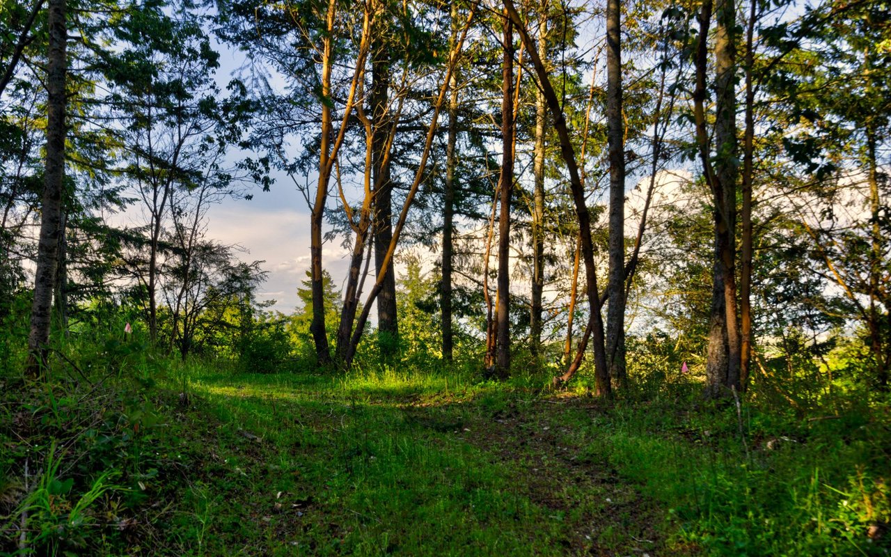 7 Tips When Buying Real Estate in Washington State