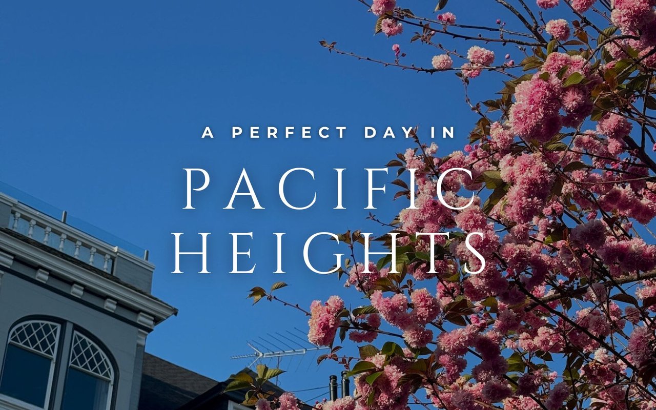 Lauren's Guide: A Perfect Day Around Pacific Heights