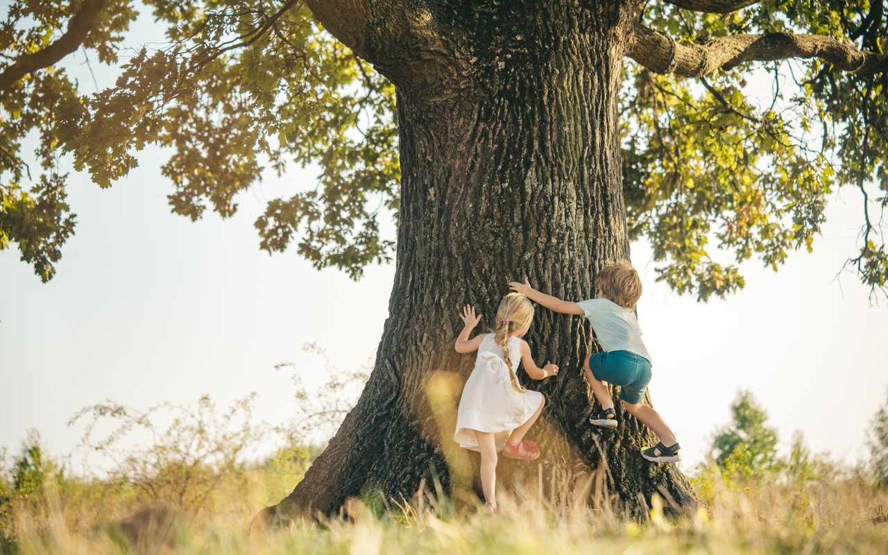 Life-Changing Events That Move the Housing Market