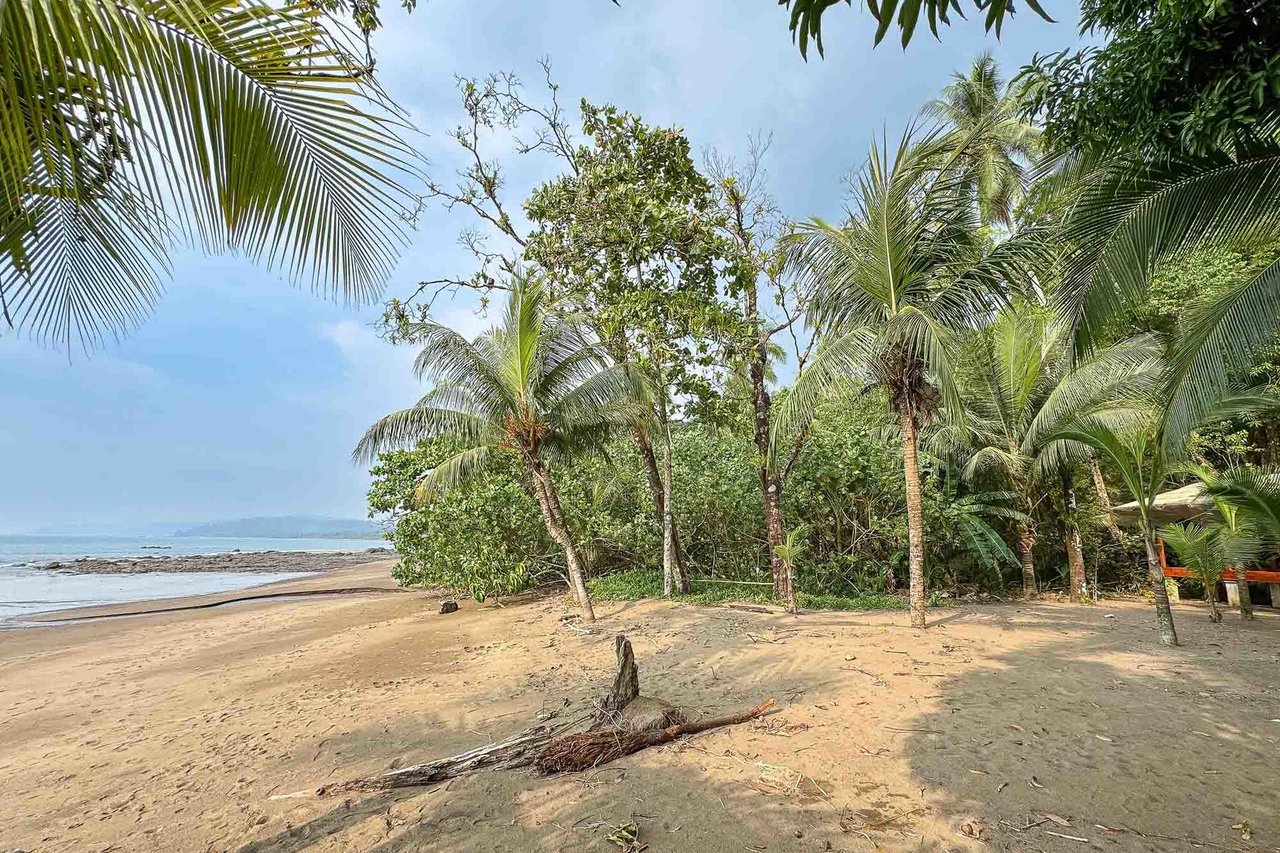 Waterfall Beachfront Estate, Osa, Puntarenas