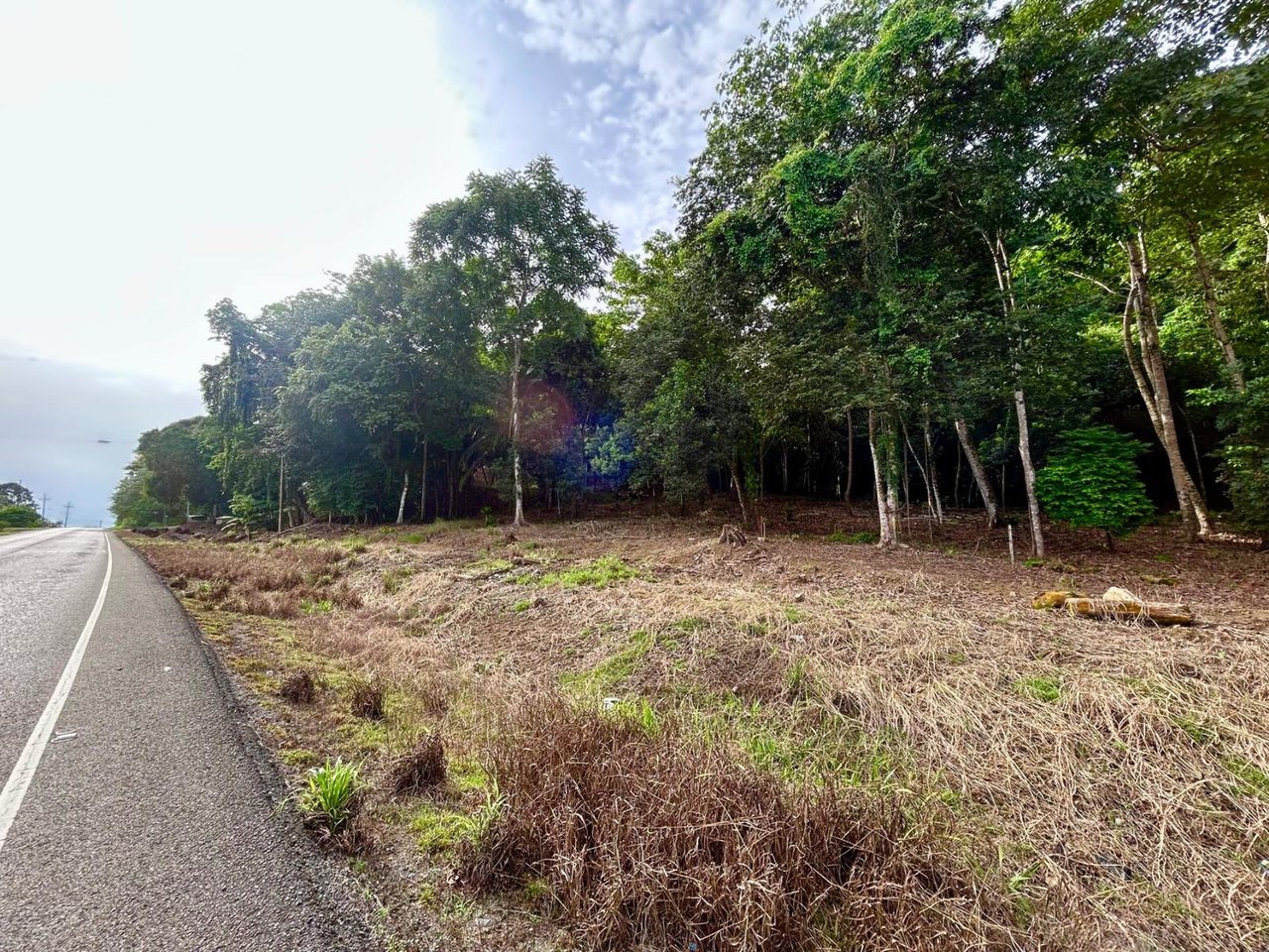 Flat Commercial Development Lot, Osa, Puntarenas