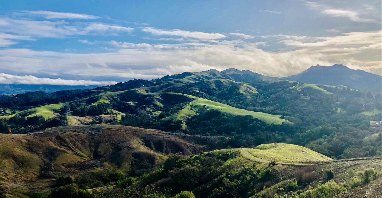 Neighborhood Lamorinda