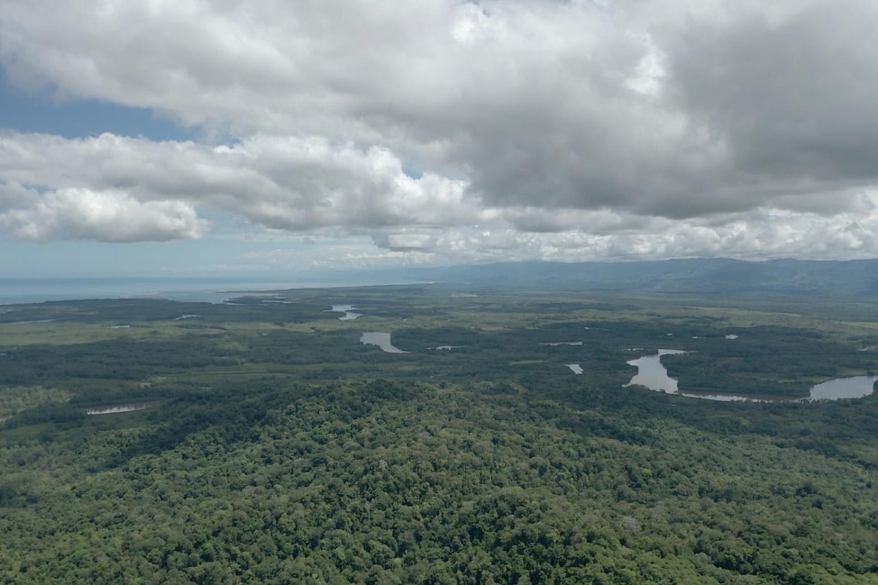 Miramar De Sierpe 