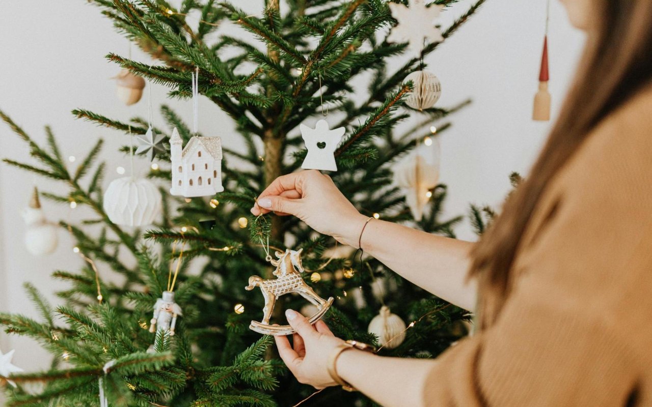 Best places to buy a Christmas tree in and around Morristown that aren't your big box stores